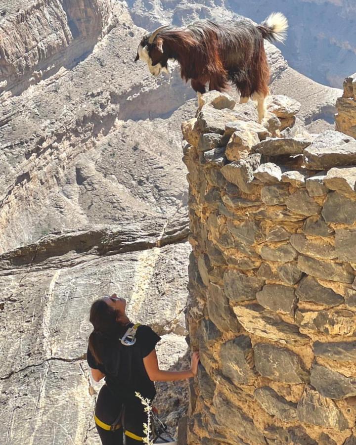Вилла Jabal Shams Mountain
